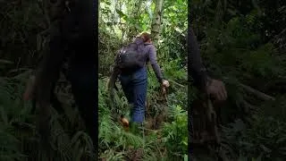 Thumbnail: a day of hunting squirrels