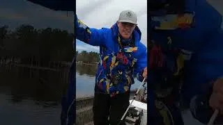 Thumbnail: Live Shiner Got ‘Em!!