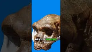 Thumbnail: New Protein Study Links Peking Man to Denisovans!