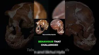 Thumbnail: Neanderthals Wore Jewelry?! Shocking Discovery