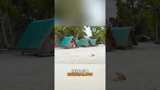 Thumbnail: Balabac Island Bungalow Stay | Beach & Sandbar Views