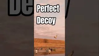 Thumbnail: Perfectly Decoying Mallard Over an Ice Hole #duckhunting