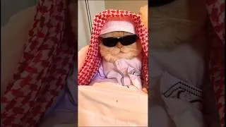 Thumbnail: Ramadan 💐🌹🥳|| 2026 Ramadan #ramadan #shortvideo #shorts