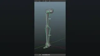 Thumbnail: Always Display Bone Names | Blender Short Tutorial