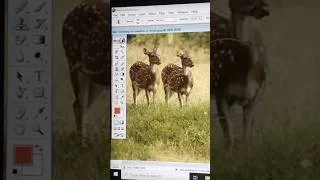 Thumbnail: Photoshop basic knowledge #Basic computer skills #shortvideo #computer