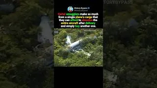 Thumbnail: Why Smugglers Abandon Their Planes After One Flight #shorts