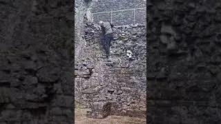 Thumbnail: Climbing a castle