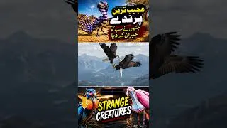 Thumbnail: The Most Incredible and Colorful Birds You Have to See! #shorts