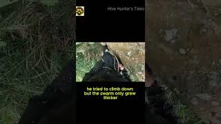 Thumbnail: Most intense honey harvest ever | chased into river by bees