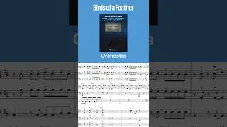 Thumbnail: Birds of a Feather by Billie Eilish | Arr. Larry Moore | Orchestra #billieeilish