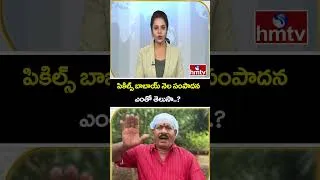 Thumbnail: TO THE POINT : పికిల్స్ బాబాయ్ నెల సంపాదన ఎంతో తెలుసా..? | hmtv