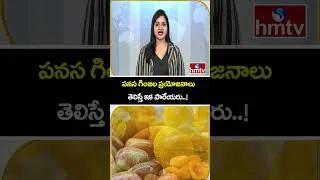 Thumbnail: TO THE POINT : పనస గింజల ప్రయోజనాలు తెలిస్తే ఇక పారేయరు..! | hmtv