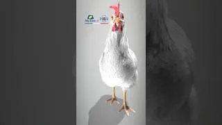 Thumbnail: Knock Nick Chick n.43: Combien de temps encore pouvez-vous accepter des résultats décevants?