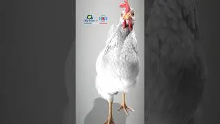 Thumbnail: Knock Nick Chick n.44: Combien de fois faites-vous attendre votre fournisseur actuel?