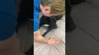 Thumbnail: My dog Code