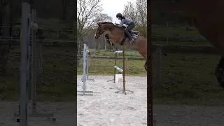 Thumbnail: Jumping 1.50 with my homebred ♥️