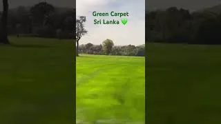 Thumbnail: Green Carpet, Srilanka 🌾
