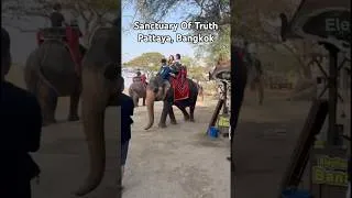 Thumbnail: Elephant Ride, Pattaya, Bangkok🐘