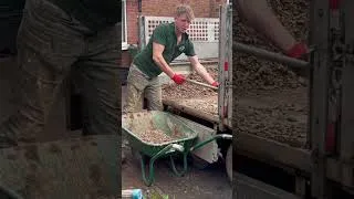 Thumbnail: #gardendesign #diy #garden #landscaping #shorts #construction #fyp #digging