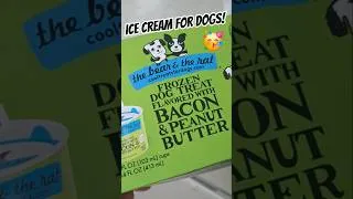 Thumbnail: I got my 14 year old dog ice cream for her birthday! #dog #icecream #funnypets #ilovedogs #birthday