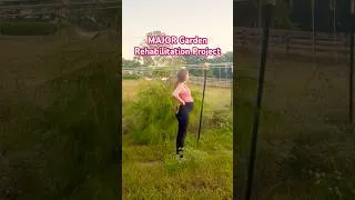 Thumbnail: Cleaning up my neglected in-ground vegetable garden 🙃 #nodiggardening #vegetablegarden #gardening