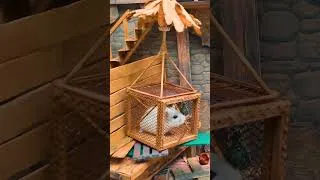 Thumbnail: Hamster's Little Nightmares in the Necropolis Maze 🐹 Homura Ham