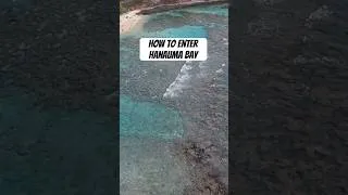 Thumbnail: Don’t forget to make reservations & bring cash for Hanauma Bay #hawaii #hanaumabay #honolulu