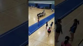 Thumbnail: 魯子菁 - FX - 2017 HK Inter-Secondary Schools Gymnastics Competition