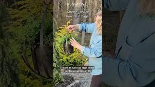 Thumbnail: #AD Did you know that QVC sold live plants and gardening Items?