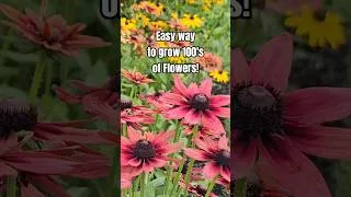 Thumbnail: #Wintersowing so easy, so satisfying. #flowers #garden #diy #trending #viral