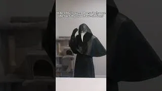 Thumbnail: Siblings on Halloween #scp #horror #cosplay