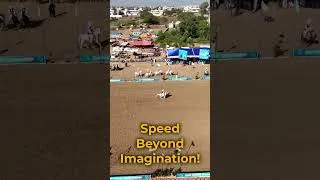 Thumbnail: The Power of a Galloping Horse 🐎⚡ Incredible Speed & Strength #shortsfeeds  #horse #animals
