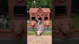 Thumbnail: Dog House