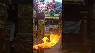 Thumbnail: జపాలి ఆంజనేయ స్వామి దేవాలయం | Sri Japaali Anjaneyaswamy Mandiram | Tirumala #tirupati #japali