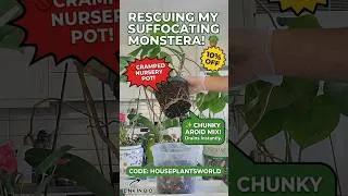 Thumbnail: Plantlover #monstera #sybotanica#boostmood#plantcare#repotting #aroidmix#plants #Shorts#2026