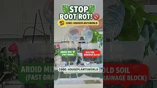 Thumbnail: Plantcare #houseplantsworld #sybotanica #aroidmix #rootrot #houseplantclub #planttips #Shorts#2026