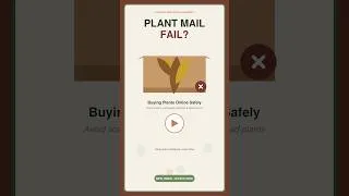 Thumbnail: 3 RED FLAGS When Buying Plants Online 🚩🌿#houseplants  #plantmail #plantshopping #rareplants #plants