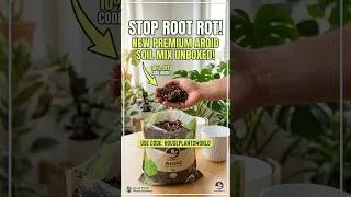 Thumbnail: Ultimate Houseplant Unboxing! (Sybotanica Aroid Mix) 🌱 ##shorts #plantcare #houseplants