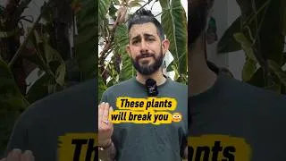 Thumbnail: These plants will break you 😳🌿