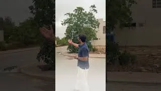 Thumbnail: Ali Block Corner Plot Near Chirpy Park | 125 Sq. Yard | Bahria Town Karachi