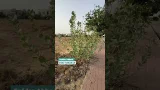 Thumbnail: Ali Block 125 Sq. Yard Plot | Prime Location | Bahria Town Karachi
