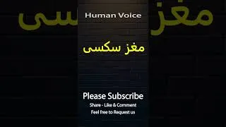 Thumbnail: How To Pronounce مغز سکسی