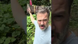 Thumbnail: My garden needs your help