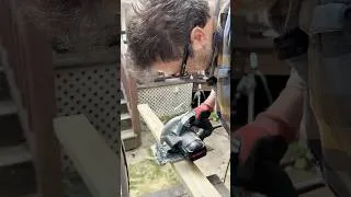Thumbnail: Grow INFINITE Tomatoes with This Garden Trellis Hack!