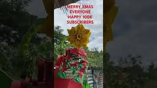 Thumbnail: STAR BALL FOR CHRISTMAS DECORATION #short