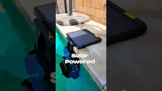 Thumbnail: Best Robotic Pool Cleaner I've Ever Used!