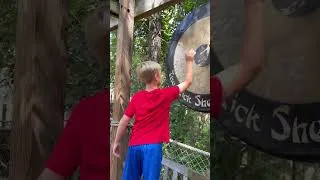 Thumbnail: Gong