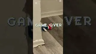 Thumbnail: Sonic