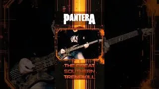 Thumbnail: A bass snippet from a Pantera’s classic #pantera #rexbrown #groovemetal
