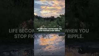 Thumbnail: When the River Goes Quiet #riverbank #sunsetviews #tranquilvibes #eveningquotes